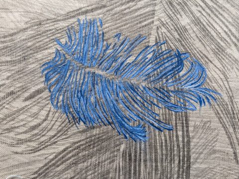 Detail of blue feather