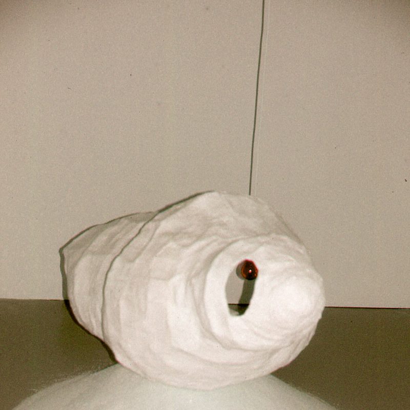 Shell