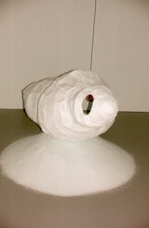 Shell