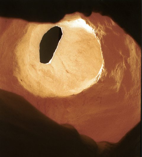 Shell, detail