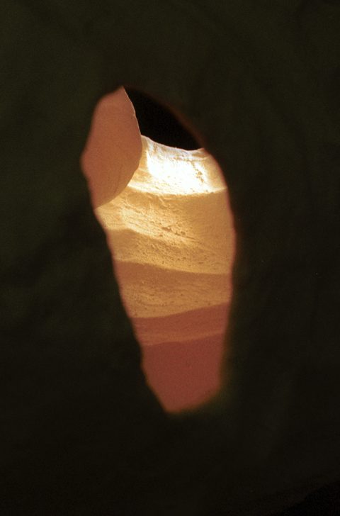 Shell, detail